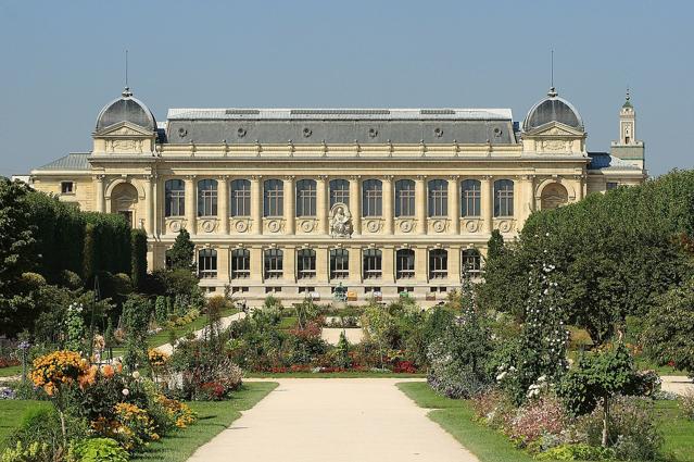 Jardin des plantes